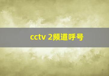 cctv 2频道呼号